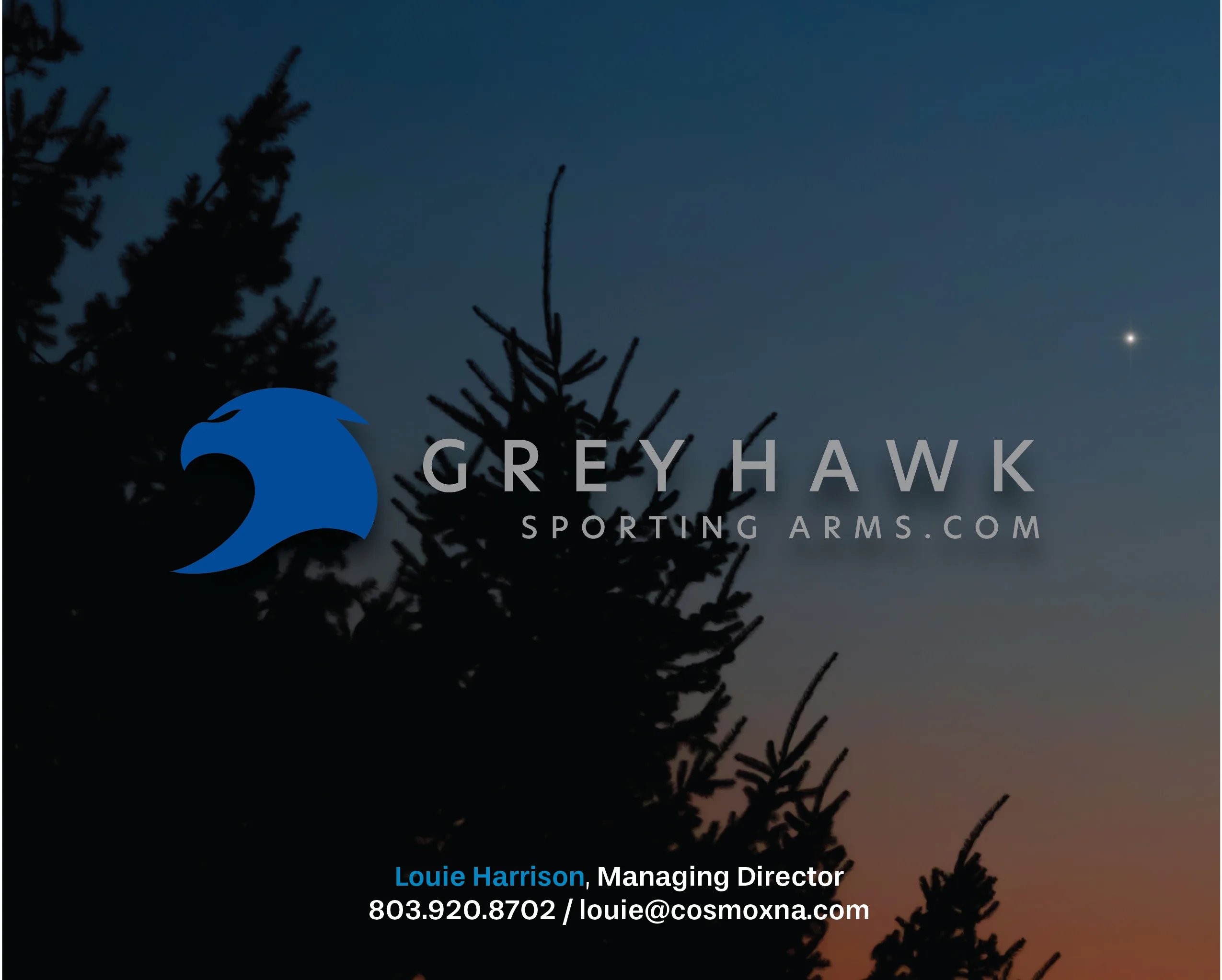 Grey Hawk Web Graphic